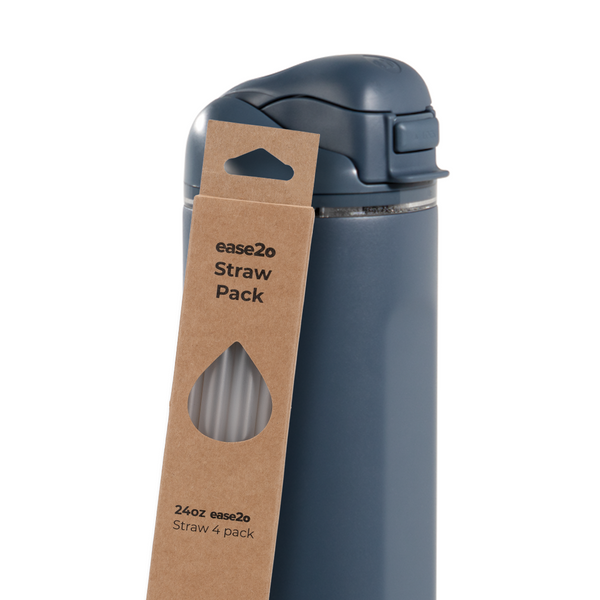 Ease2o Straws 4 Pack 24oz O0